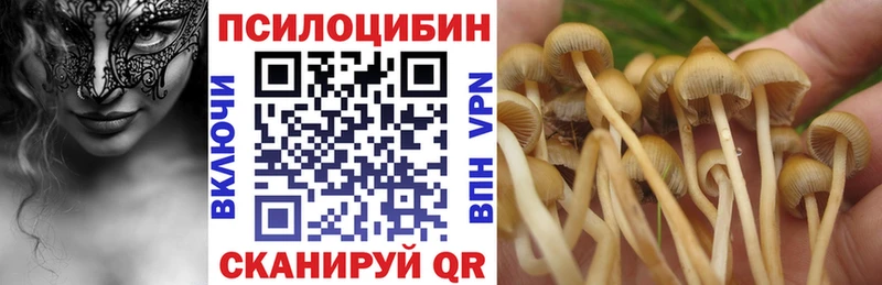 Галлюциногенные грибы Psilocybine cubensis  Купить  Чердынь 